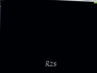 Rzs