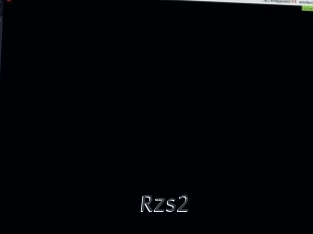 Rzs2