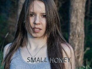 SMALL_HONEY