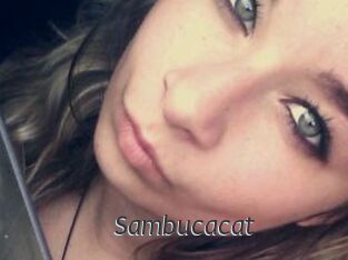 Sambucacat