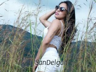 SanDelgar