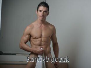 Santtybigcock