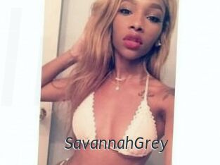 Savannah_Grey