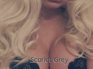 Scarlet_Grey