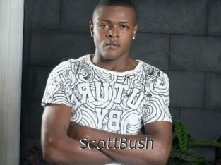 ScottBush