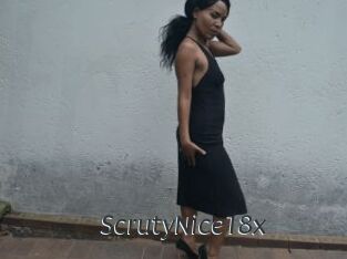 ScrutyNice18x