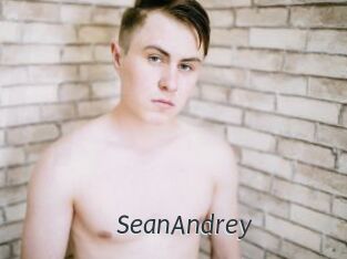 SeanAndrey