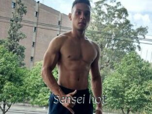 Sensei_hot