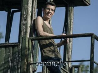 Sentinello