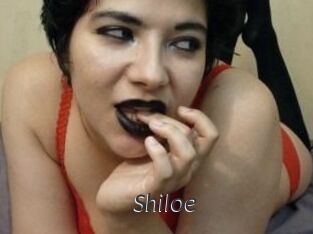 Shiloe