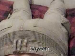 ShyFem