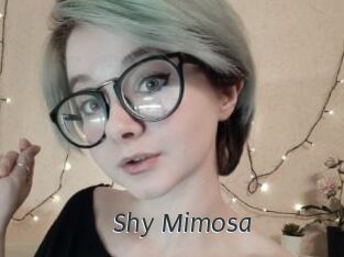 Shy_Mimosa