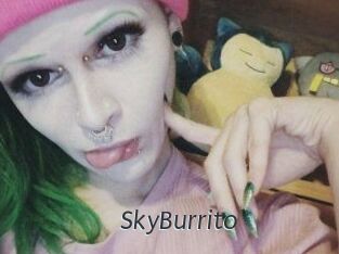 SkyBurrito