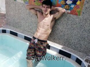 SkyWalkerr