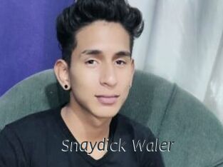 Snaydick_Waler