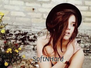 SoftNHard