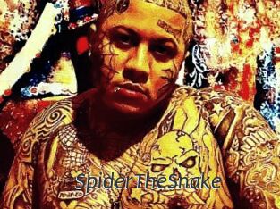 SpiderTheSnake