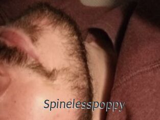Spinelesspoppy