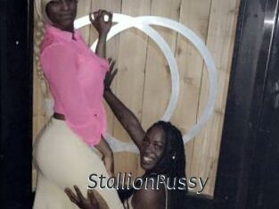 StallionPussy