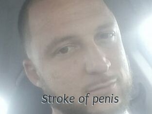 Stroke_of_penis