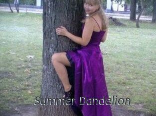 Summer_Dandelion