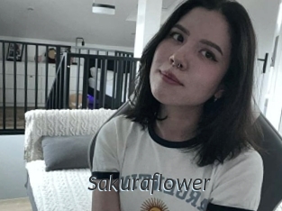 Sakuraflower