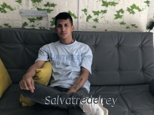 Salvatredelrey