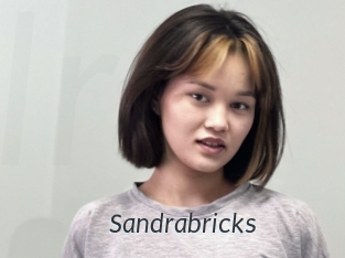 Sandrabricks