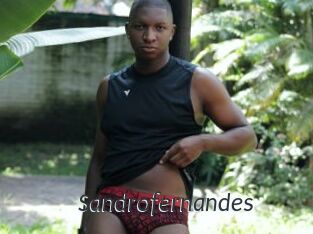 Sandrofernandes