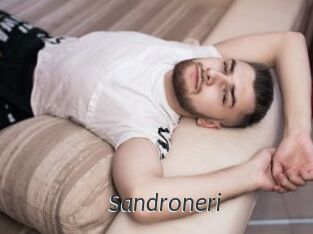 Sandroneri