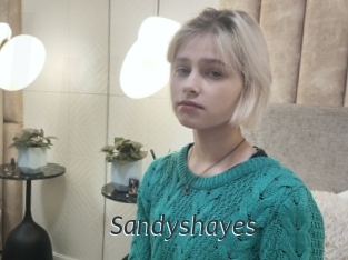 Sandyshayes
