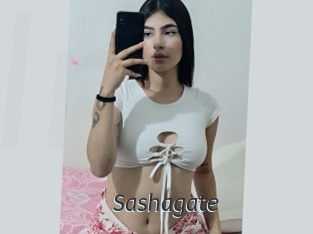 Sashagate