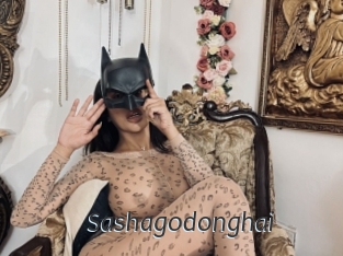 Sashagodonghai