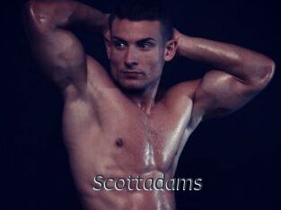 Scottadams