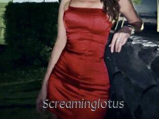 Screaminglotus