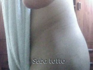 Seba_totto