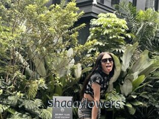 Shadaylowers