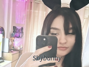 Shybunny