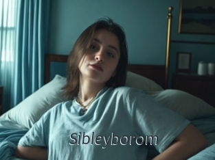 Sibleyborom