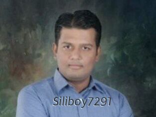 Siliboy7291