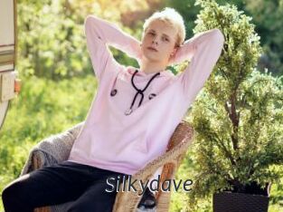 Silkydave