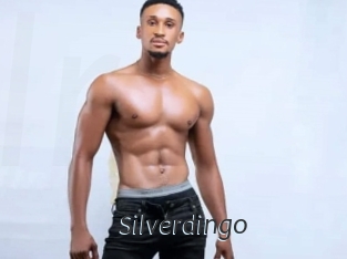 Silverdingo