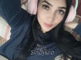 Sindykro