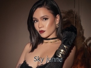 Sky_junne