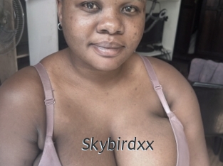 Skybirdxx