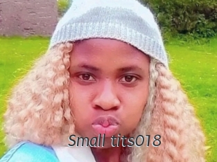 Small_tits018