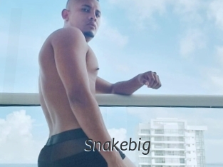 snakebig Ligne Rose