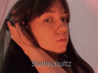 Steinschultz