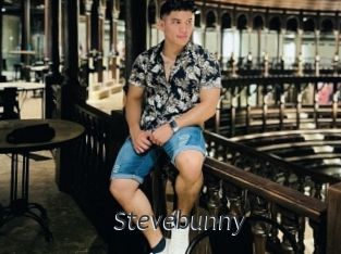 Stevebunny
