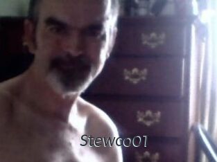 Stewco01